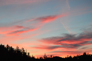 DSC_0537